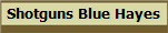 Shotguns Blue Hayes