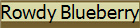Rowdy Blueberry