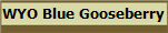 WYO Blue Gooseberry