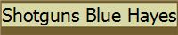 Shotguns Blue Hayes